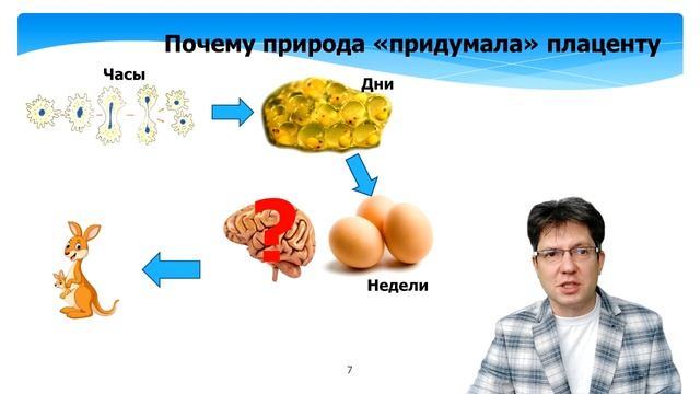 Пушистые Встречи