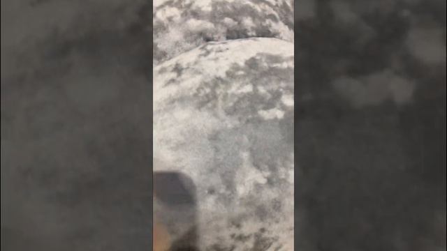 Мягкая мебель по индивидуальным размерам заказчика #дизайнерскаямебель смотреть онлайн