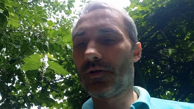 Сколько пирожков можно съесть на голодный желудок? Смешные анекдоты смотреть онлайн