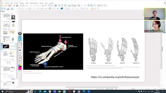 3D-анимация животных. Как подойти к походке четвероногих персонажей смотреть онлайн