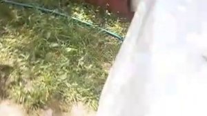 Стиральная машинка Candy  Aquamatic  6t