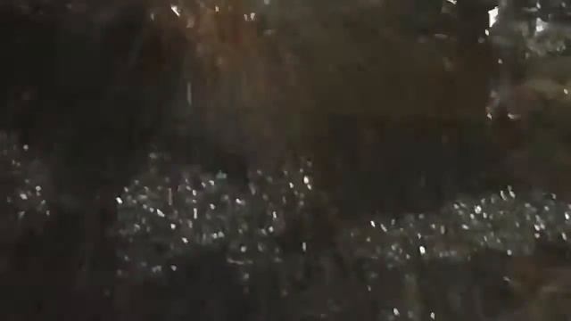 Eric Morris & Company Channel Trailer смотреть онлайн