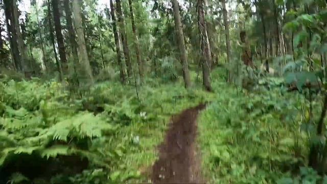 Охта веломарафон 2020 (половинка) смотреть онлайн