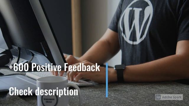 I will speed up WordPress website speed in 24 hours (+600 Positive Feedback) смотреть онлайн