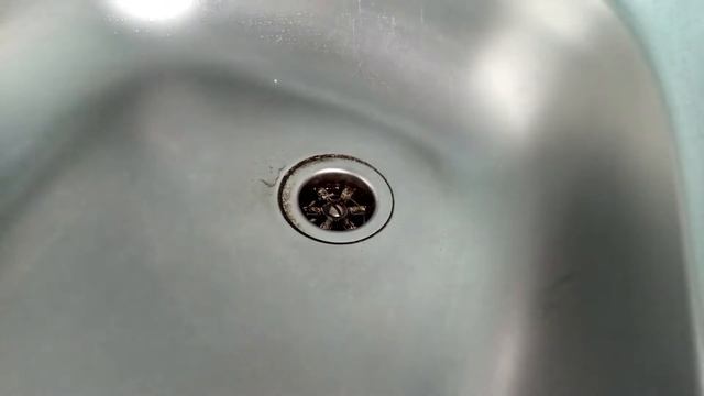 Как поменять сифон на кухне в раковине смотреть онлайн