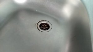 Как поменять сифон на кухне в раковине