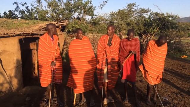 Деревня масаев. Кения. Масаи-Мара