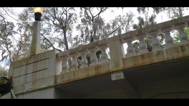 Our date at Dickson Azalea Park and saw the Washington Street Bridge! смотреть онлайн