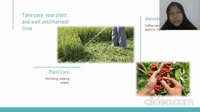 Analysis of Farming Management System смотреть онлайн