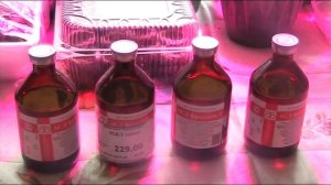 Как работать с препаратом АСД-2 в птицеводстве //Секреты хороших урожаев.