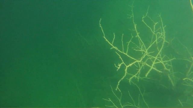 подводная охота в карэре. смотреть онлайн