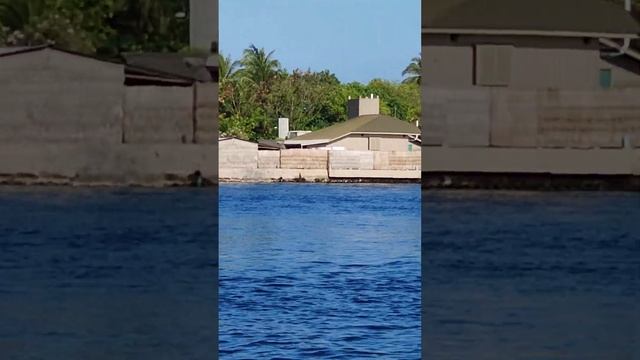 Вдоль резорта на Мальдивах что можно увидеть с борта скоростного катера смотреть онлайн