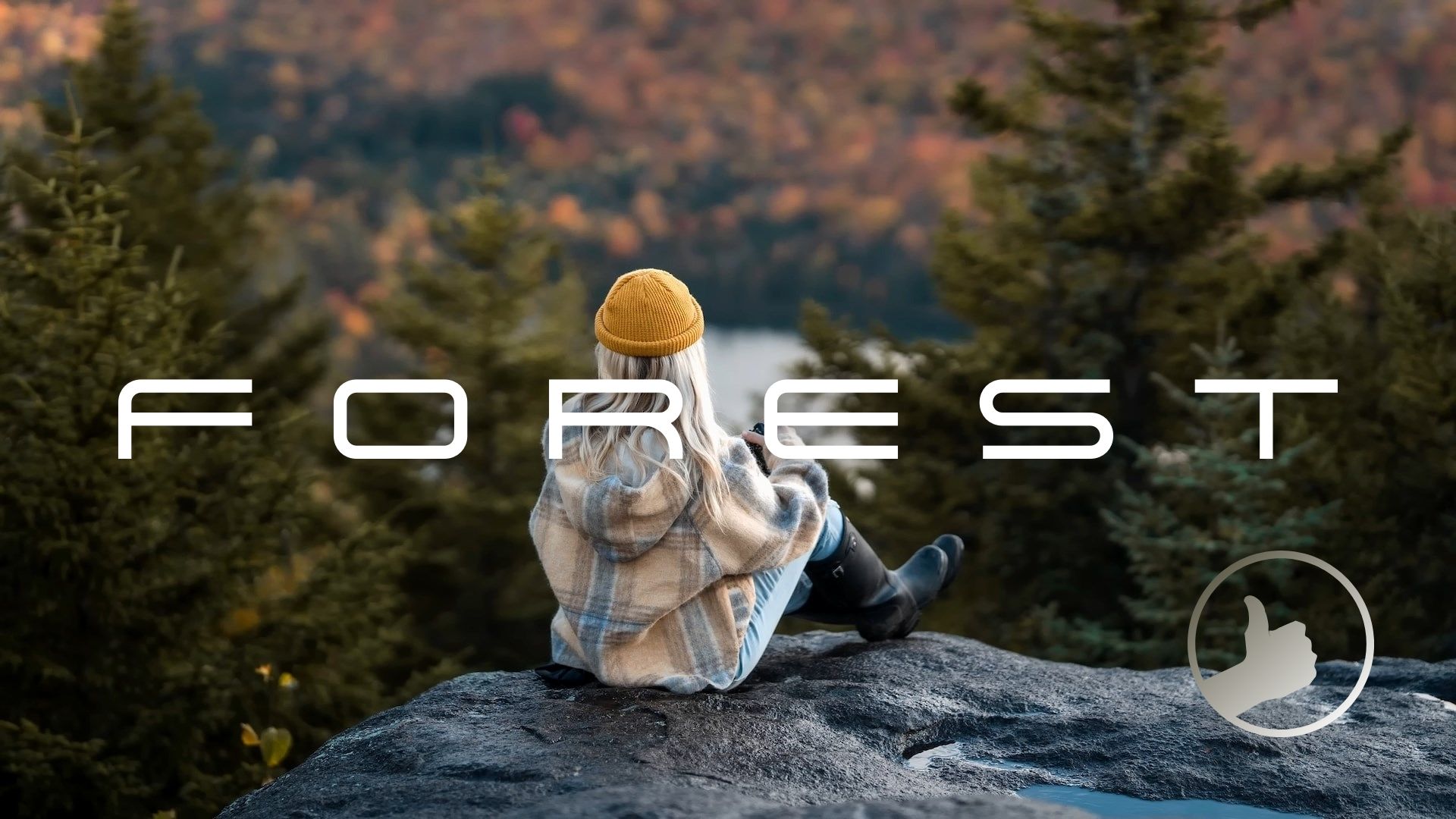 Forest | Beautiful Chill Music Mix смотреть онлайн