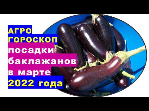 Агрогороскоп посева семян баклажанов на рассаду в марте 2022 года смотреть онлайн