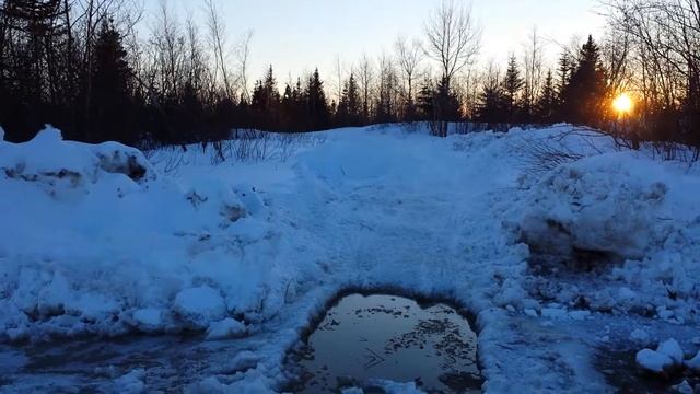 skidoo смотреть онлайн