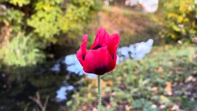 КОНЕЦ И НАЧАЛО смотреть онлайн