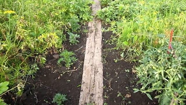 Как осушить участок своими руками без затрат смотреть онлайн