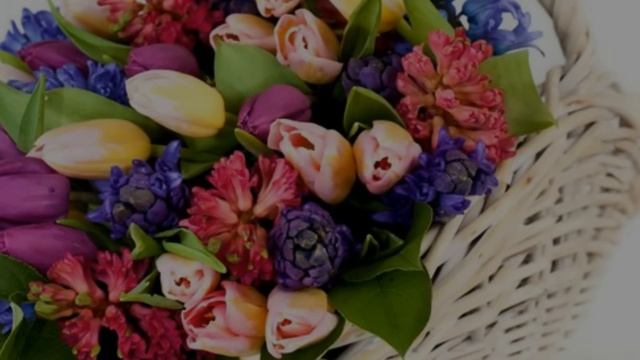 ДЛЯ ВАС, МИЛЫЕ ЖЕНЩИНЫ! смотреть онлайн