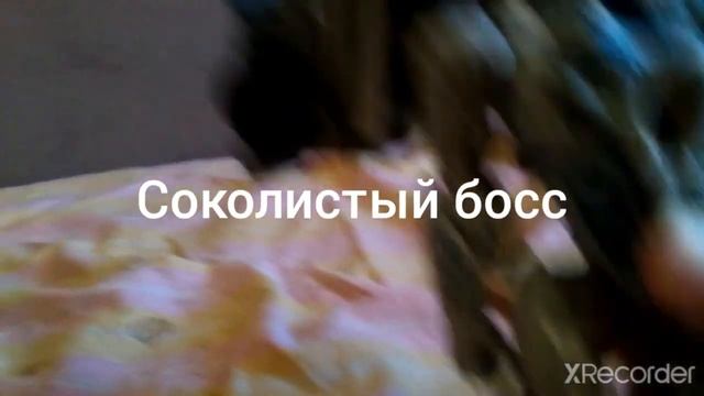 как приручить медведь 3 третий трейлер смотреть онлайн