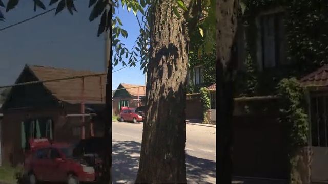 Счастье это отсутствие несчастья. Будьте счастливы! смотреть онлайн