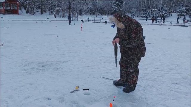 Форель клюёт на пасту. Клёвое место, Лосиный остров, нижний водоём. смотреть онлайн