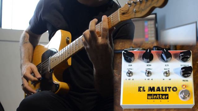 Distorção estilo anos 90! El Malito | Wintter Labs смотреть онлайн
