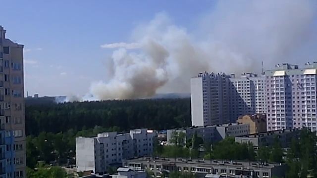 Горит лес в п.Островцы