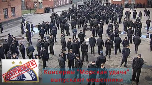 Предприятие-должник предлагает купить кильку в томатном соусе смотреть онлайн