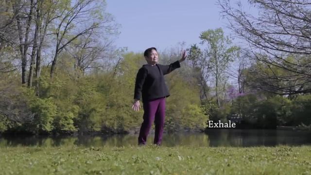 Qigong Full 20-Minute Daily Routine