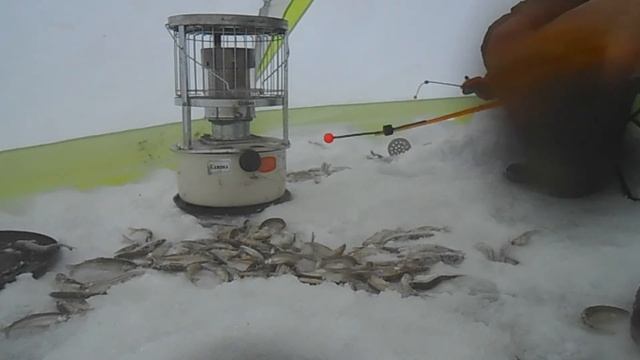 Клев очень хороший Ловля корюшки Магадан озеро Глухое смотреть онлайн