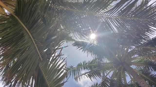 Наши Мальдивы. Август 2022. Бюджетные Мальдивы, о.Тодду смотреть онлайн