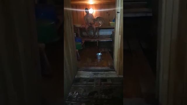 Пес любит баню смотреть онлайн
