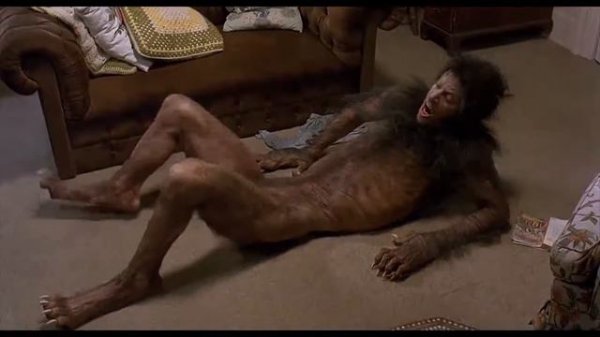 David Naughton - Making It