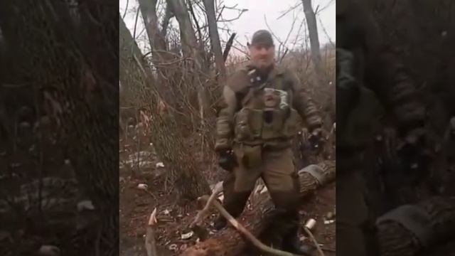 Mk5.45 - Родники