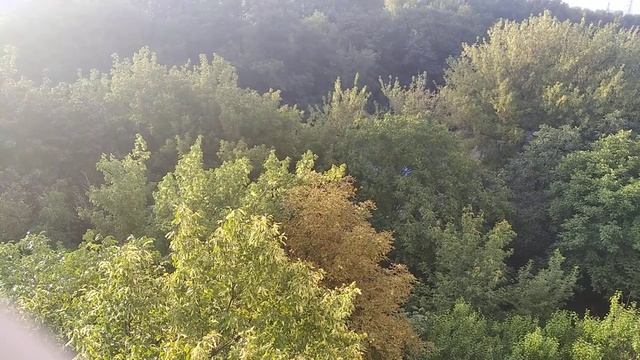 ЗАПОРОЖЬЕ ОБСТАНОВКА В ГОРОДЕ 28.08.22 ВЗРЫВ НОЧЬЮ смотреть онлайн