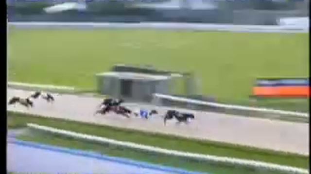 IGB - Go Greyhound Racing Open yds 27/07/2019 Race 7 - Thurles Park смотреть онлайн