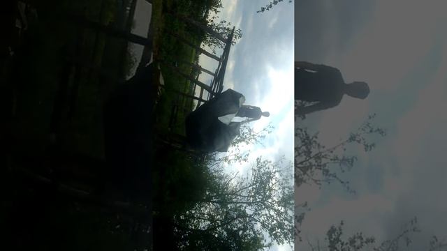 Как Сделать порошок своими руками смотреть онлайн