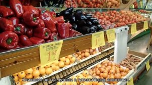 О бархатном сезоне в Сочи: особенности и преимущества, когда начинается