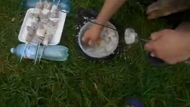 Приключения на Природе