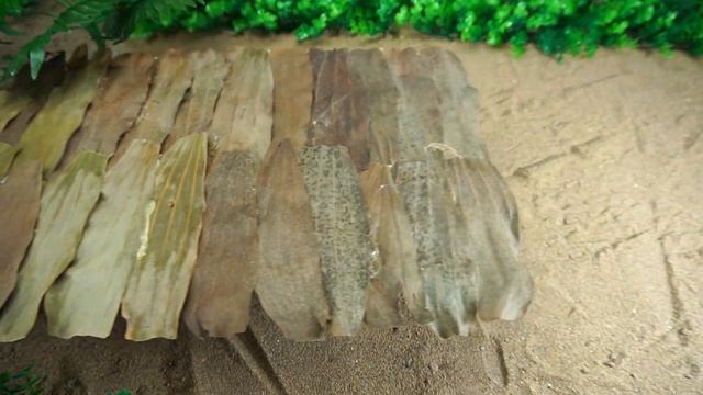 Farm Animal Toys in the sandbox ,Diy tractor making mini concrete bridge смотреть онлайн