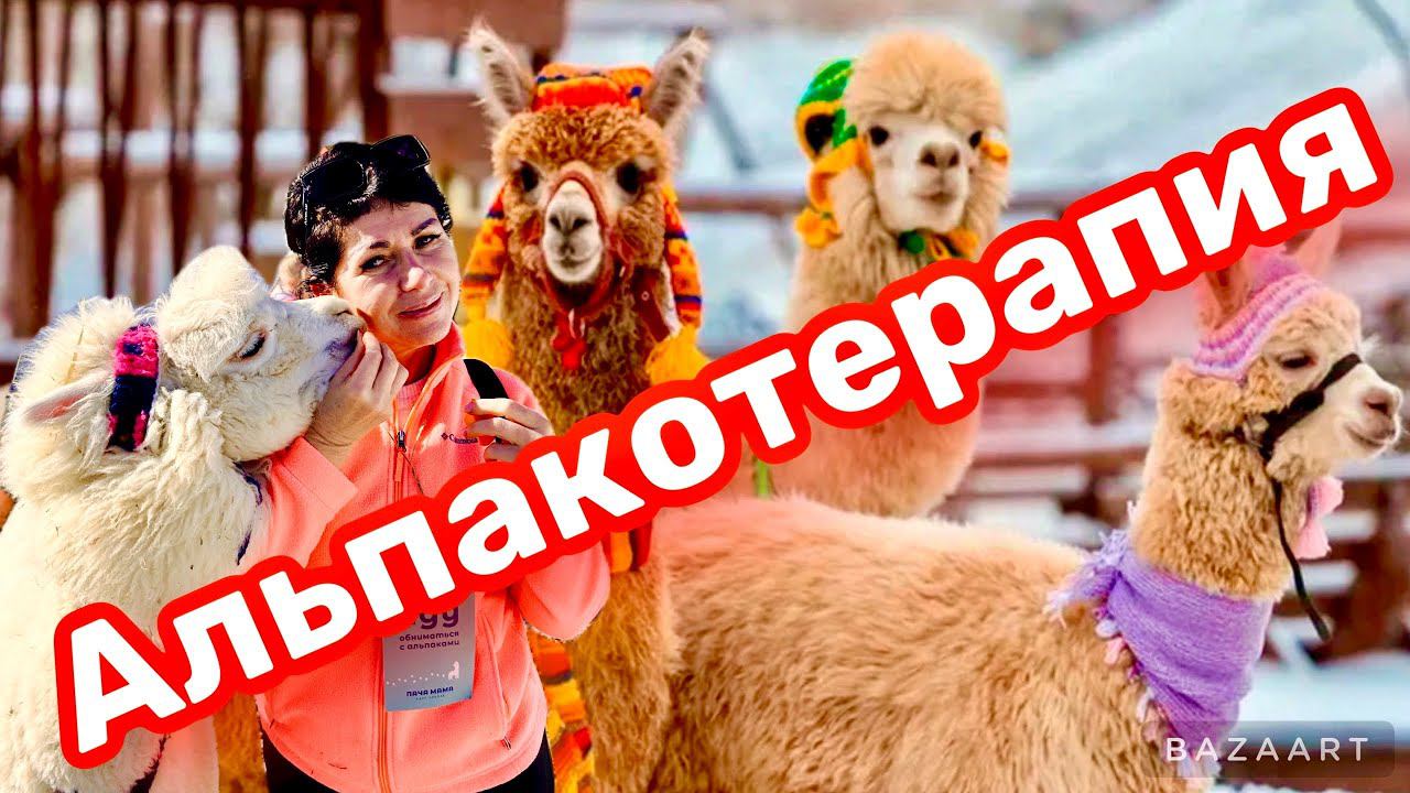 Парк Альпак ПАЧА МАМА. Аборигены из Перу! Красная Поляна. Роза хутор. смотреть онлайн
