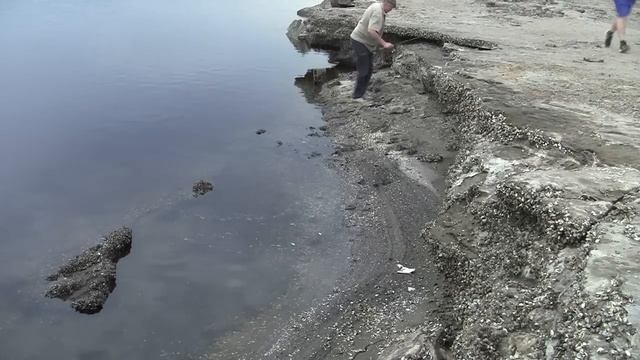Запорожье послепотопное, с новыми берегами 21.06.23 г. смотреть онлайн