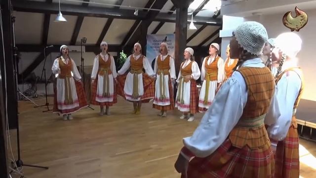 Kivi Youth Vocal Group - Ne Dėl Žalio Vyno смотреть онлайн