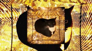 RXDXVIL, bezigr - MAXWELL CAT PHONK