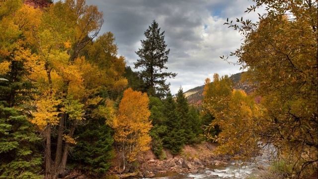 О помощи людям и благодарности за нее смотреть онлайн