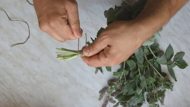 Как сушить мяту в домашних условиях на зиму смотреть онлайн
