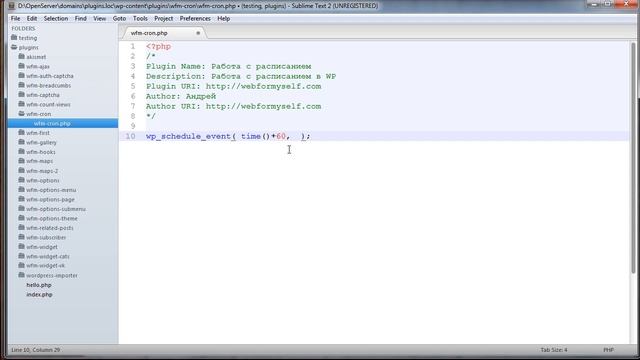 WordPress-Профессионал Часть 4 Урок 14 смотреть онлайн