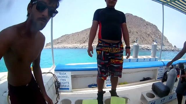 Дайвинг в Индийском океане. Жак Ив Кусто по-эмиратски смотреть онлайн