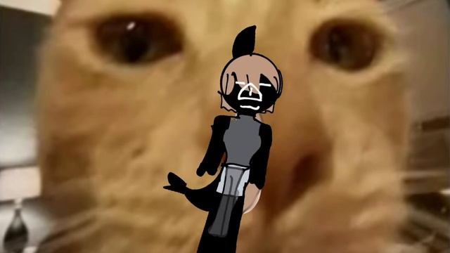 Money money green green💵💵💵💵💵(да у меня есть хвостик =^ᴥ^=. ) смотреть онлайн