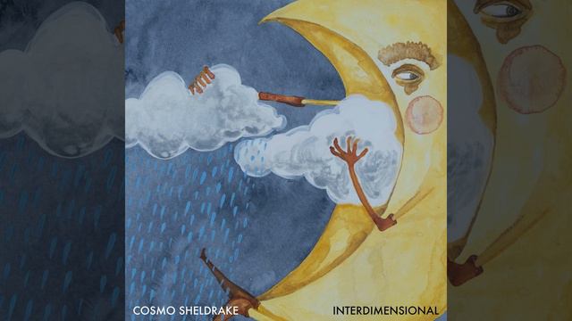 Interdimensional